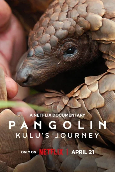 Pangolin: Kulunun Yolculuğu