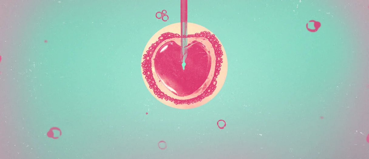 Series Banner
