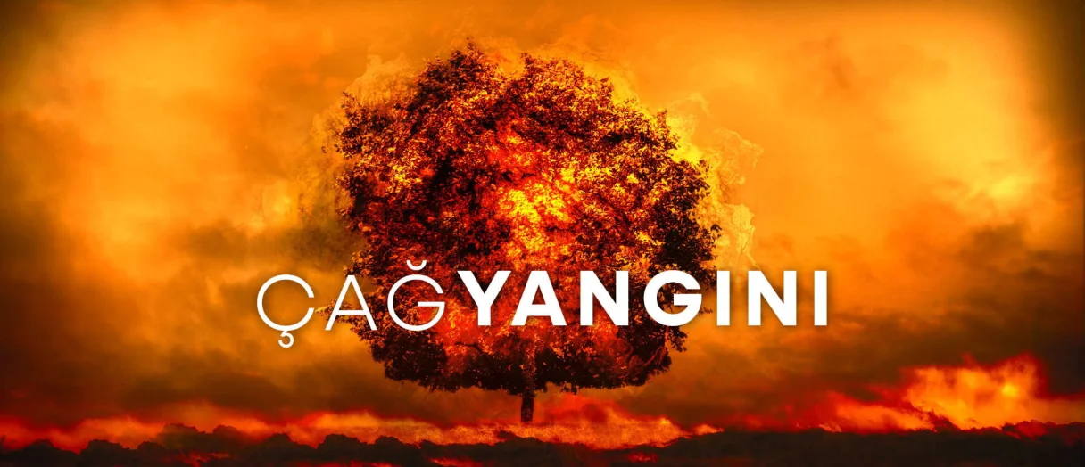 Series Banner