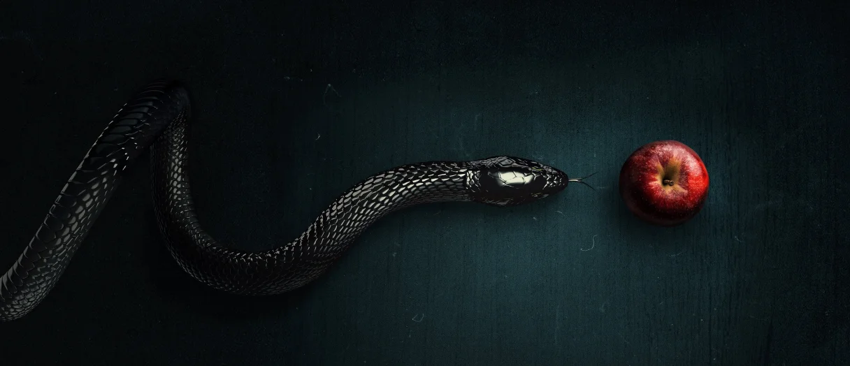 Series Banner